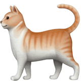 Apple Apple design of the cat emoji verson:ios 16.4