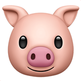 Apple design of the pig face emoji verson:ios 16.4