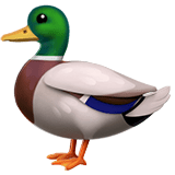Apple Apple design of the duck emoji verson:ios 16.4