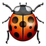 Apple design of the lady beetle emoji verson:ios 16.4