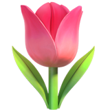 Apple Apple design of the tulip emoji verson:ios 16.4