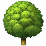 Apple design of the deciduous tree emoji verson:ios 16.4