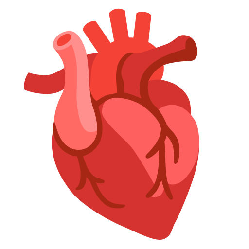 Google design of the anatomical heart emoji verson:Noto Color Emoji 15.0