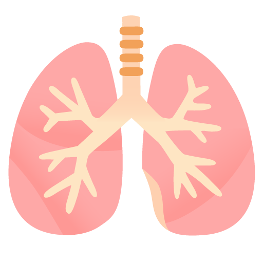 Google design of the lungs emoji verson:Noto Color Emoji 15.0