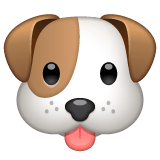 Whatsapp design of the dog face emoji verson:2.23.2.72