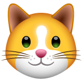 Whatsapp design of the cat face emoji verson:2.23.2.72