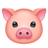 Whatsapp design of the pig face emoji verson:2.23.2.72