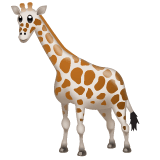 Whatsapp design of the giraffe emoji verson:2.23.2.72