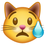 😿 Crying Cat Emoji Meaning - From Girl & Guy - Emojisprout