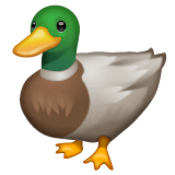 Whatsapp Whatsapp design of the duck emoji verson:2.23.2.72