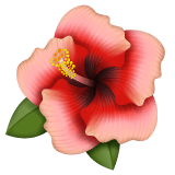 Whatsapp design of the hibiscus emoji verson:2.23.2.72