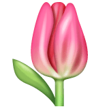 Whatsapp Whatsapp design of the tulip emoji verson:2.23.2.72