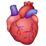 Whatsapp design of the anatomical heart emoji verson:2.23.2.72