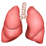 Whatsapp design of the lungs emoji verson:2.23.2.72