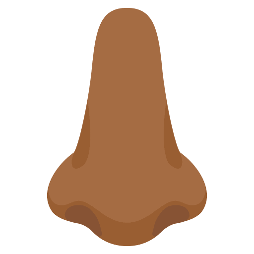 Google design of the nose: medium-dark skin tone emoji verson:Noto Color Emoji 15.0