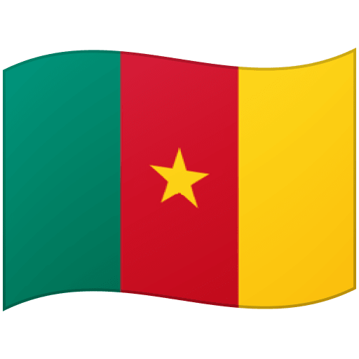Google design of the flag: Cameroon emoji verson:Noto Color Emoji 15.0