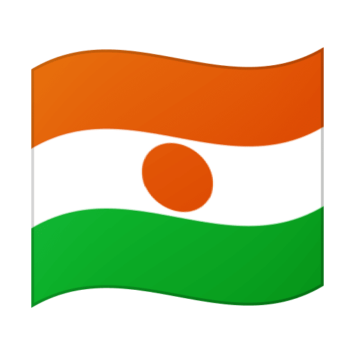 Google design of the flag: Niger emoji verson:Noto Color Emoji 15.0