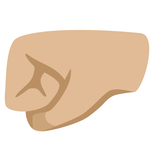 Google design of the left-facing fist: medium-light skin tone emoji verson:Noto Color Emoji 15.0