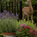 Deer-resistant flowers and herbs in pots with a deer visible beyond a garden gate