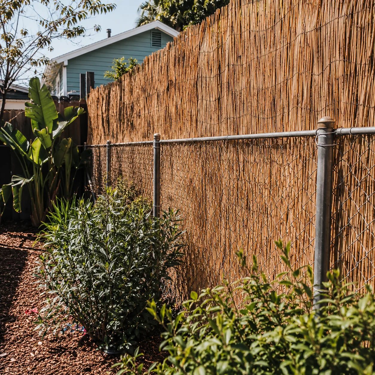 Realistic editorial photo of reed fence over chain link in an ordinary backyard needing privacy, realistic editorial pho