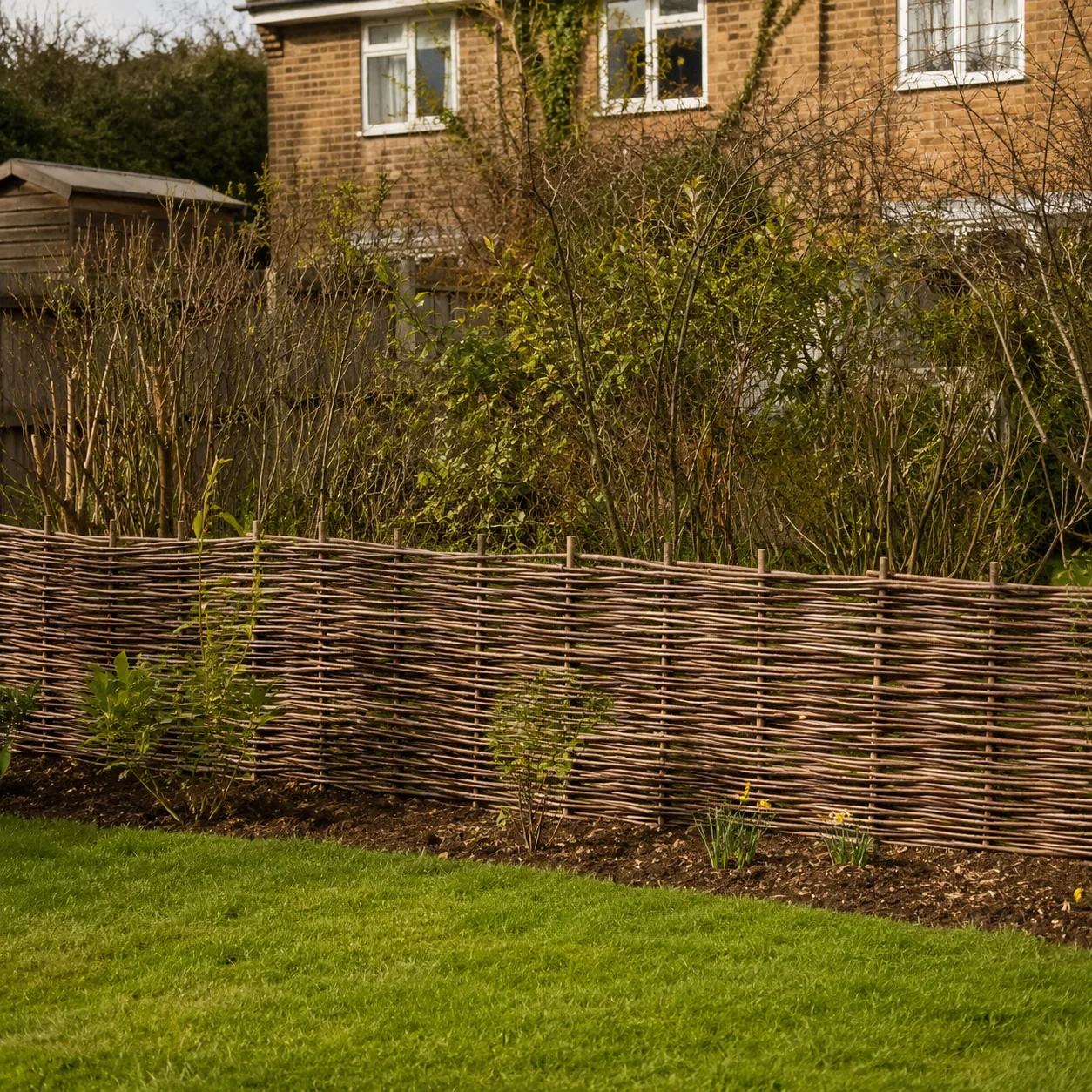 Realistic editorial photo of low woven willow fence in an ordinary backyard needing privacy, realistic editorial photo, 